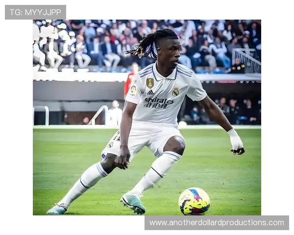 卡马文加技术全面性