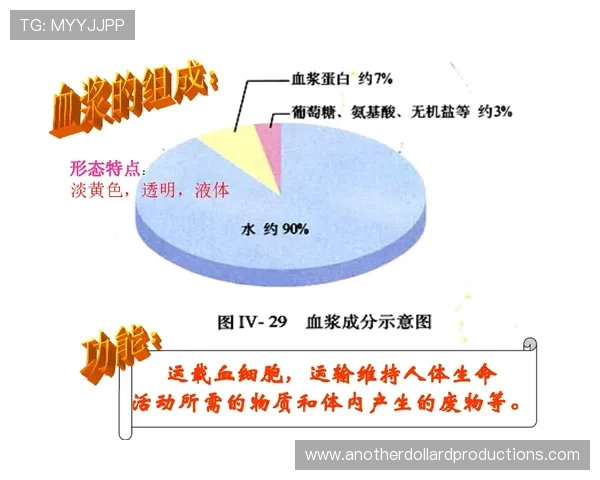 穆西亚拉与福登:德英技术流组织核心对比 穆西亚拉与福登:德英技术流组织核心对比