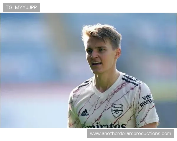 厄德高为何评价两极分化？技术风格与战术适配性关键解析